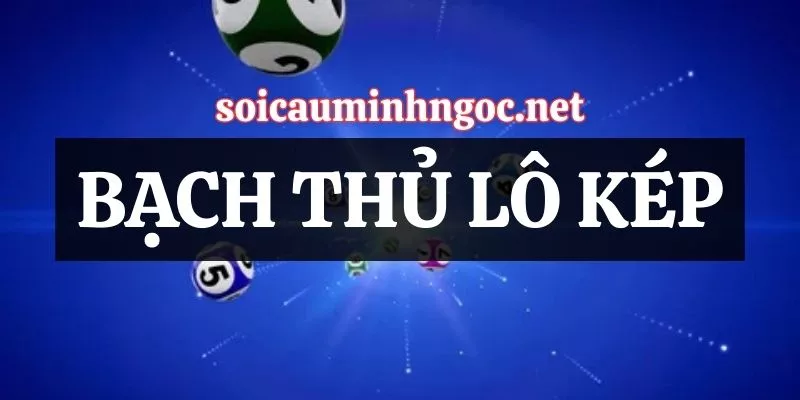 Phương Pháp Soi Cầu Bạch Thủ Lô Kép Chuẩn Xác