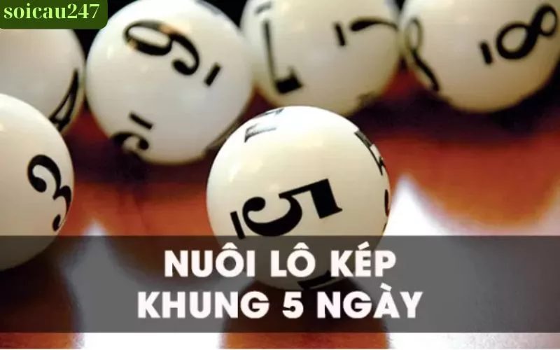 Lô Kép Nuôi Khung 5 Ngày – Chiến Lược Dự Đoán Xổ Số Hiệu Quả Với Soicau247